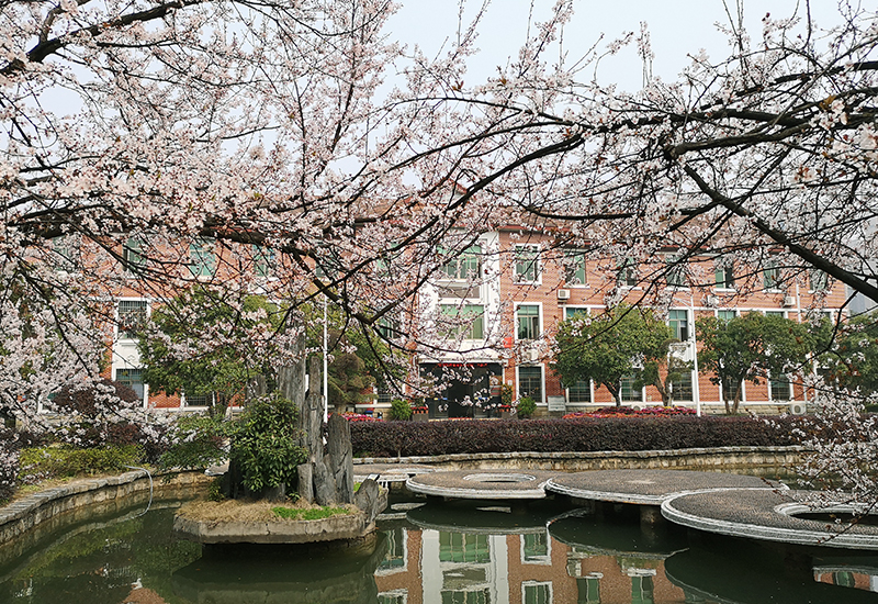 《紅網(wǎng)時(shí)刻》華菱衡鋼榮登2020年中國(guó)鋼鐵行業(yè)品牌榜