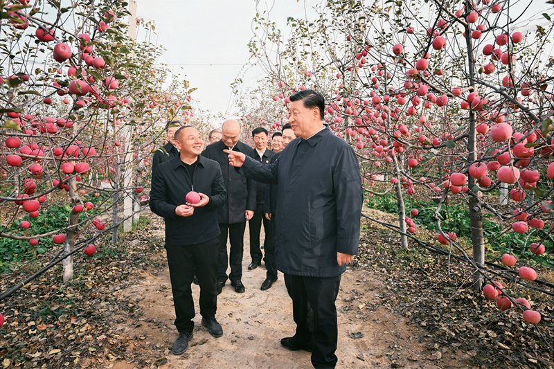 1678955874511323.jpg 農業(yè)強國02.jpg