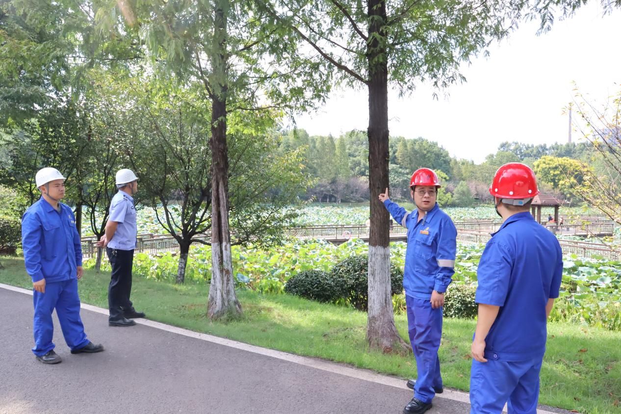 1694393621298788.jpg 20230910134258957223.jpg